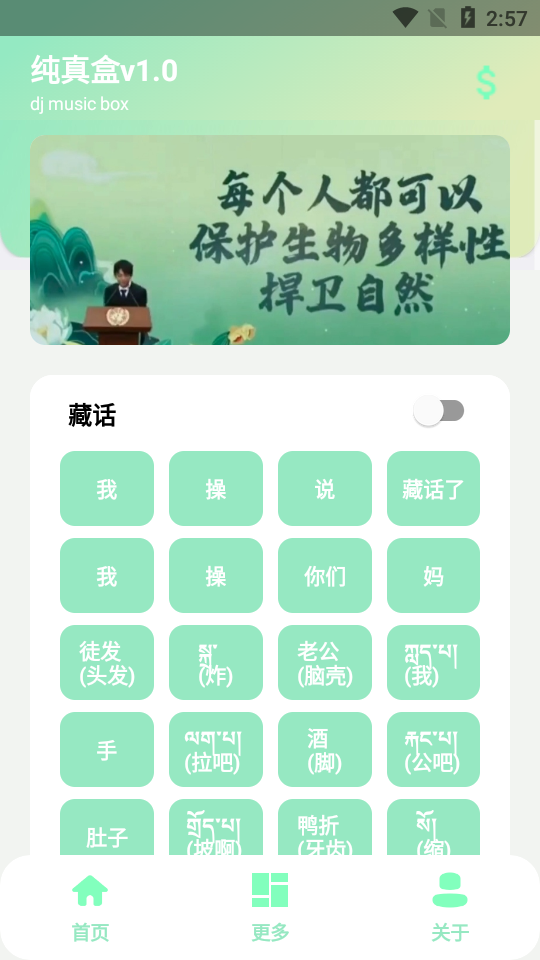 纯真盒(丁真盒app最新版)