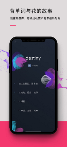背词达人