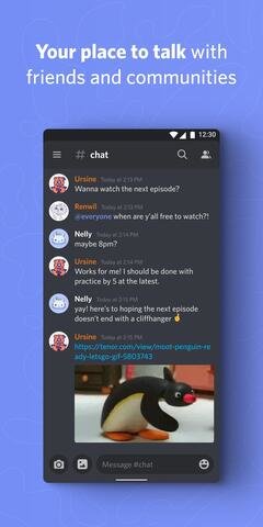 discord中文官网版