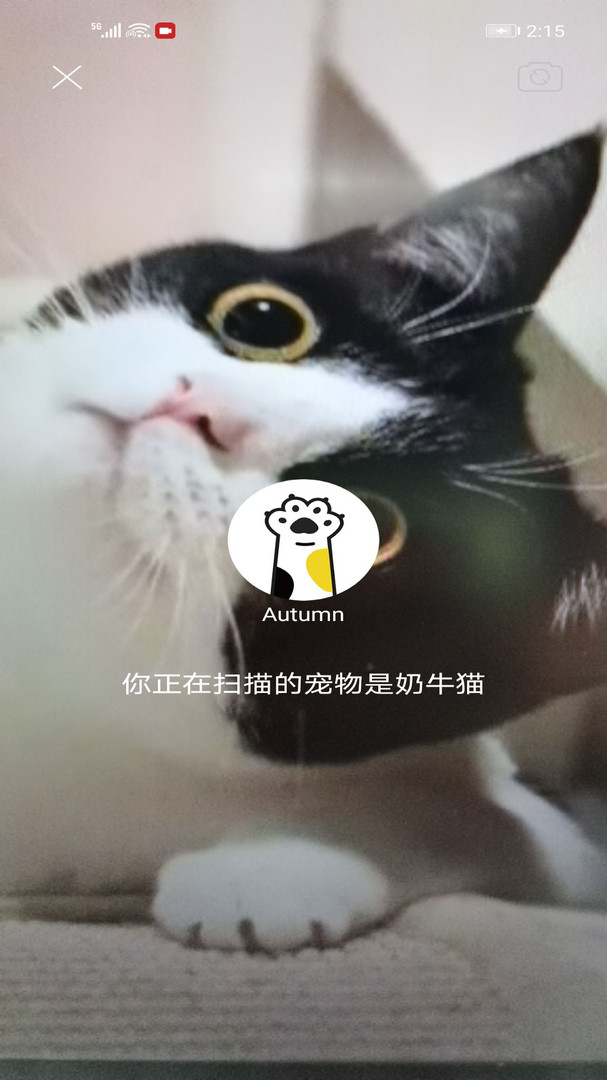 握爪安卓版