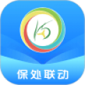 保处联动安卓版
