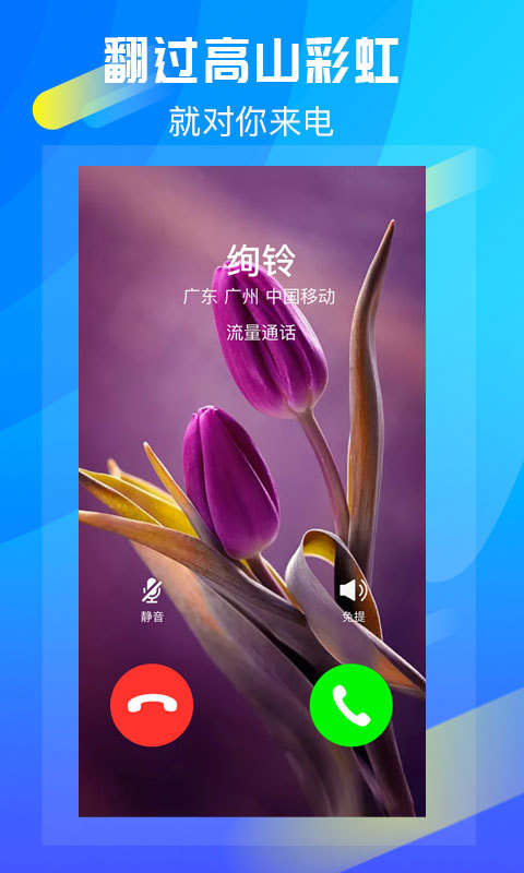 绚铃安卓版