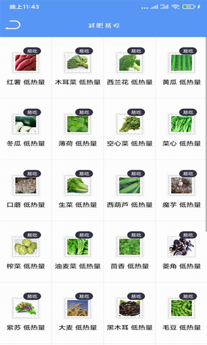 Fit瘦身减肥