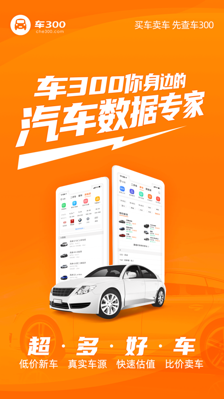 车300二手车iOS版