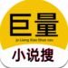 巨量小说搜