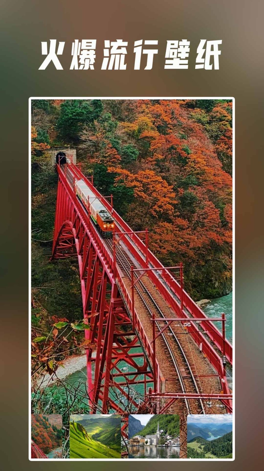 壁纸安卓版