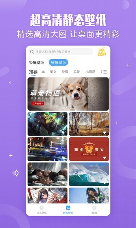 小鸟壁纸安卓版