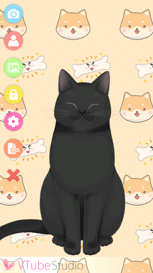 VTube Studio iOS版