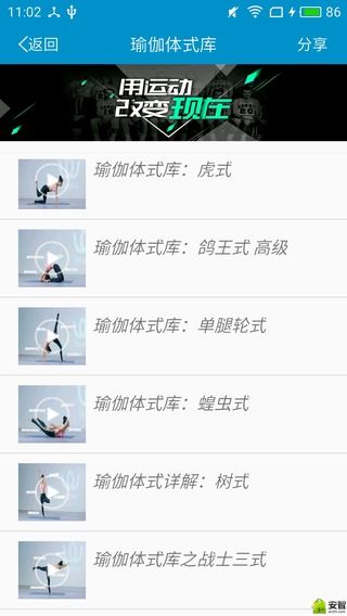 壁纸大全安卓版