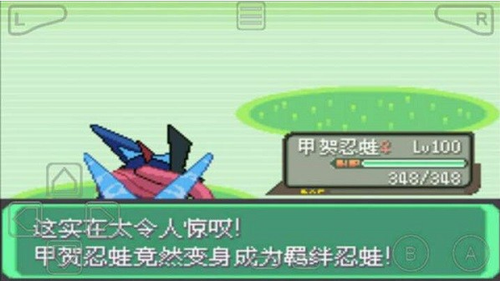 口袋妖怪