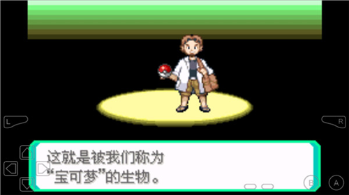 口袋妖怪究极绿宝石4
