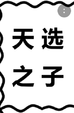 天选之子