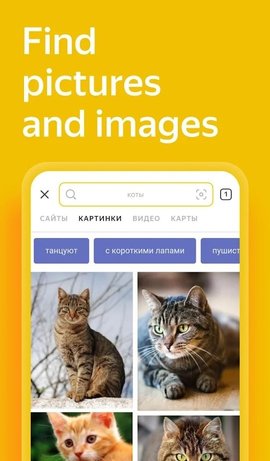 yandex引擎app