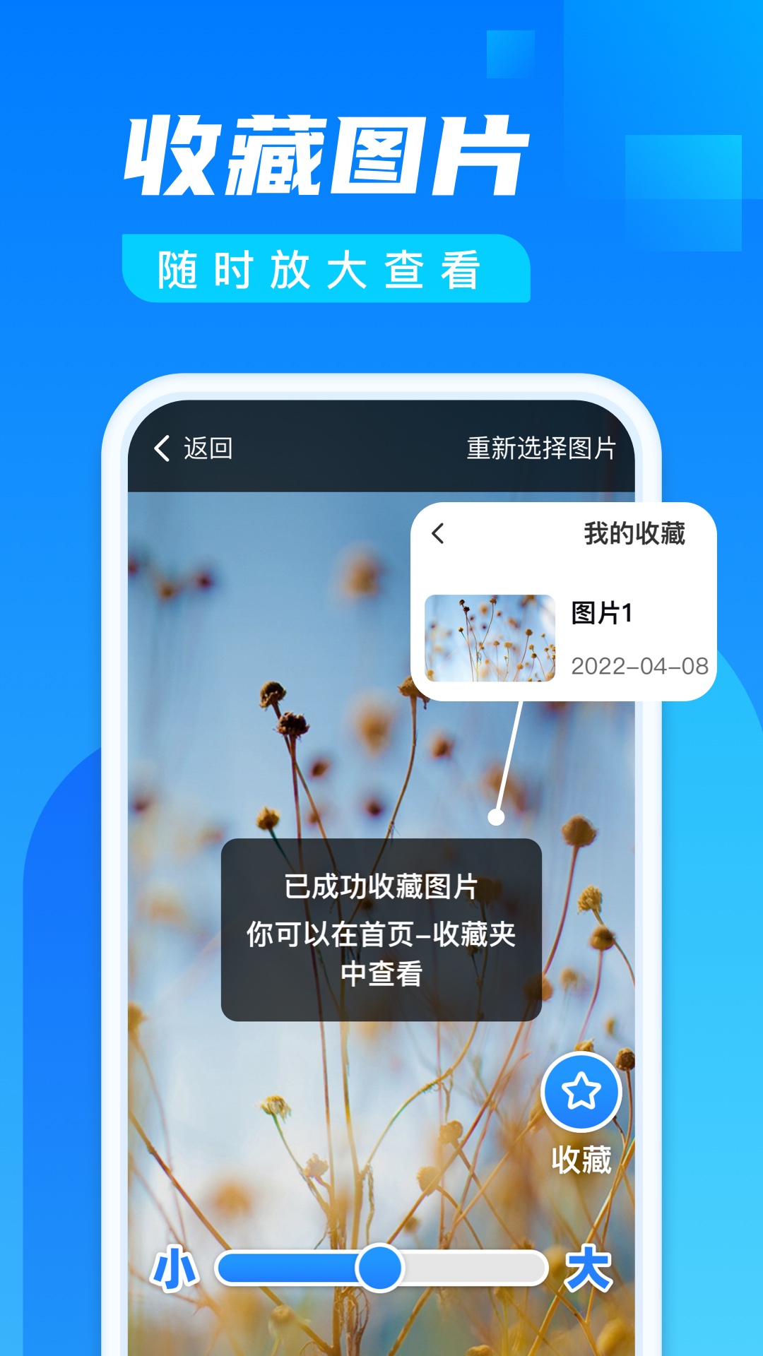 阅看大字版安卓版