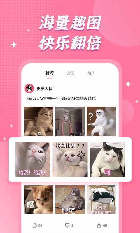 皮皮大侠