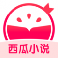 西瓜小说安卓版