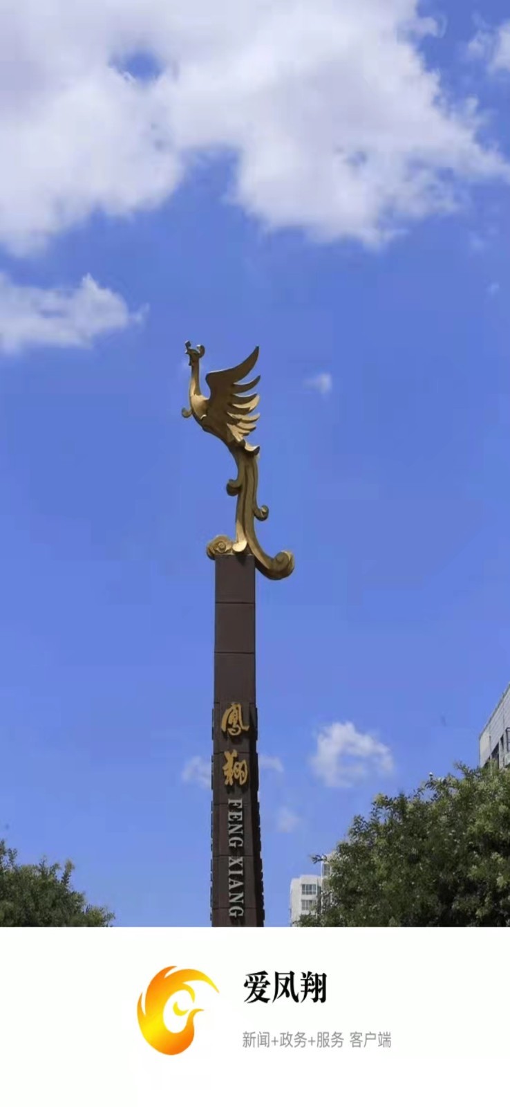 爱凤翔安卓版
