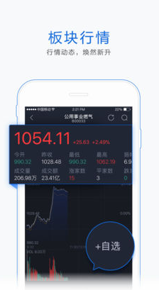 金太阳