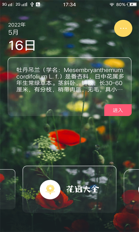 红杏视频安卓版