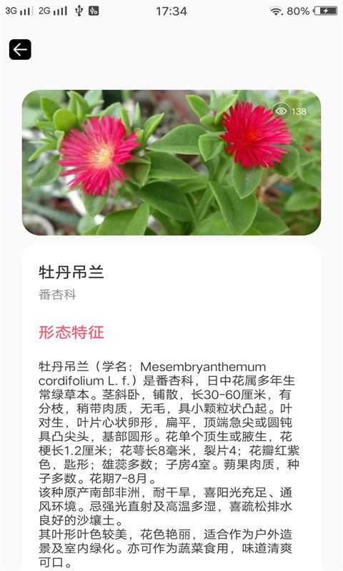 红杏视频安卓版