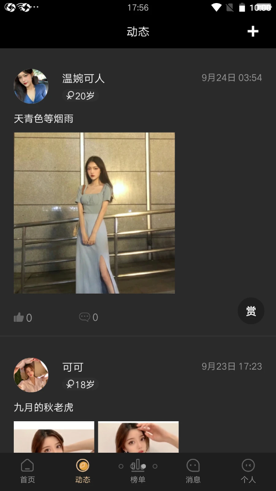 倾恋