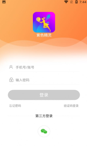 紫色精灵