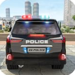 美国警察驾驶