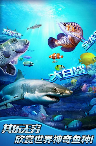 全民钓鱼2