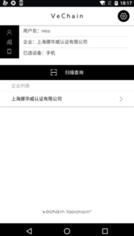 VeChain Work