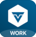 VeChain Work