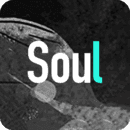 Soul最低版本