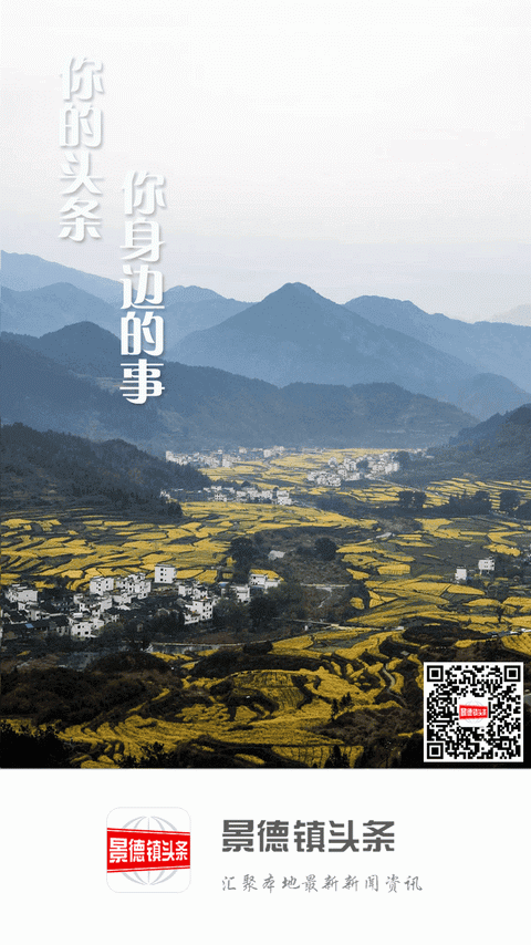 景德镇头条安卓版