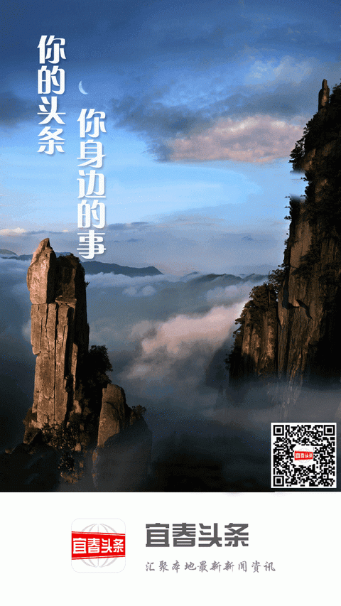 宜春头条安卓版