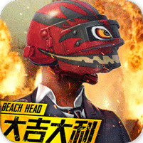 抢滩登陆3D满v版
