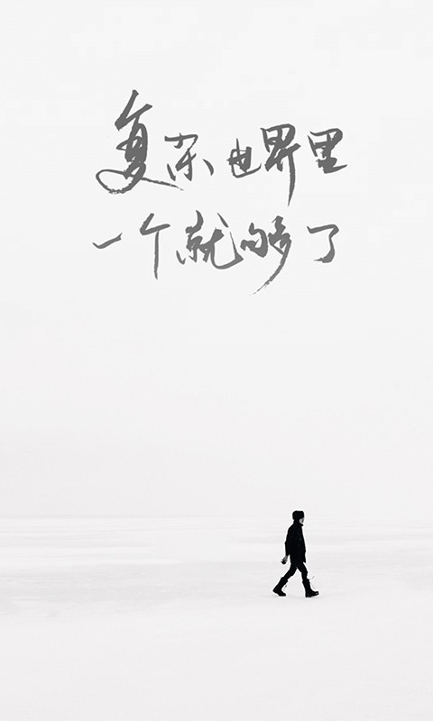 一个安卓版