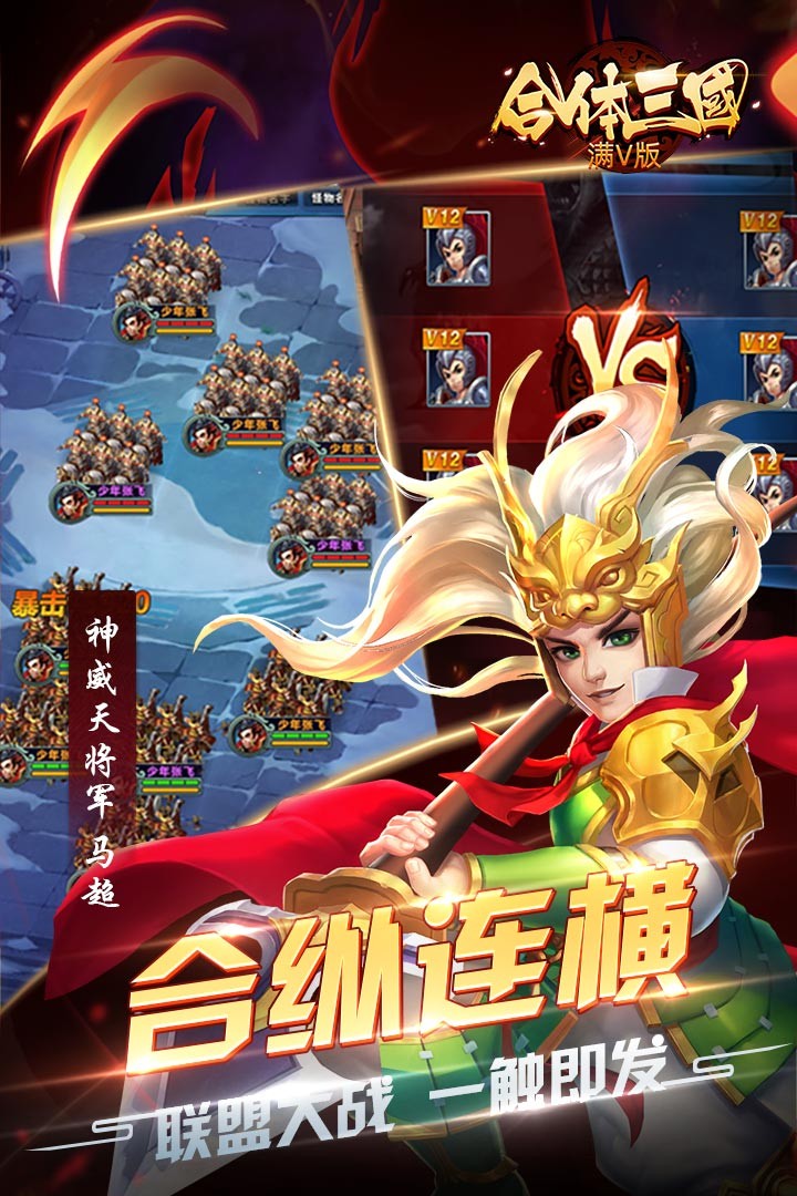 合体三国送名将版截图