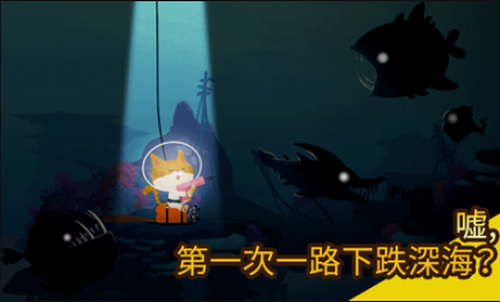 爱捉鱼的猫