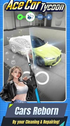 王牌中古车