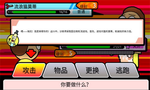 口袋莫蒂