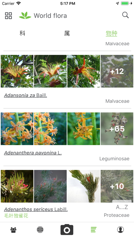 植物识别PlantNet iOS版