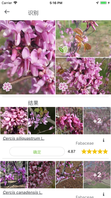 植物识别PlantNet iOS版