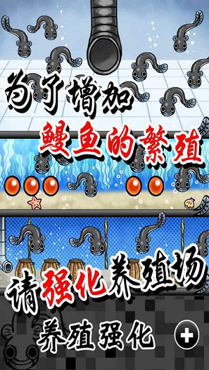 鳗鱼养殖场