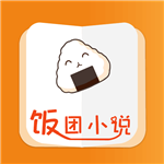 饭团小说破解版