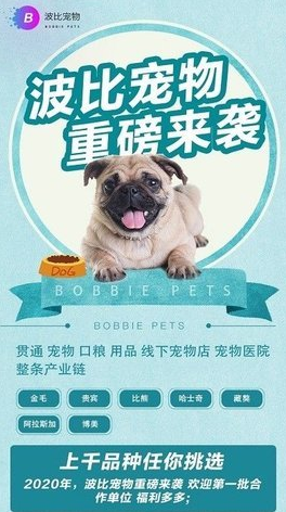 波比宠物