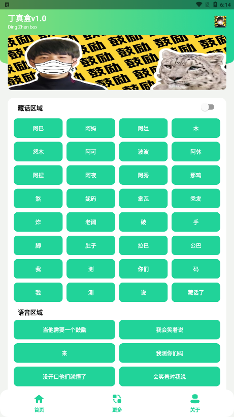 丁真盒app(纯真盒)截图