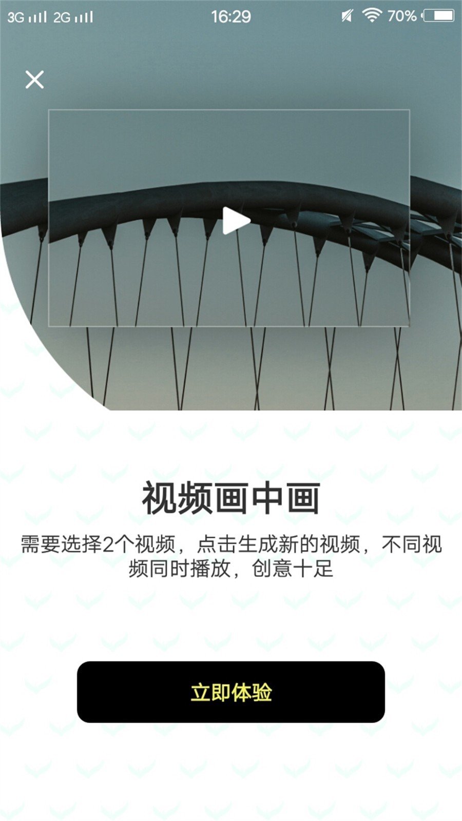 小猪猪短视频