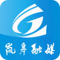 爱岚皋安卓版