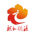 视外桃源安卓版