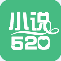 小说520