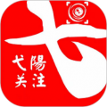 弋阳关注安卓版